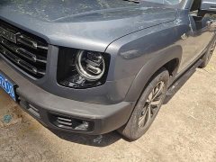 Great Wall Dachshund 1.5T DCT Two-Wheel Drive Labrador Edition - ფოტო 5