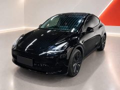 Tesla Model Y 2022 Rear-Wheel Drive - ფოტო 1