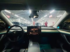 Tesla Model Y 2022 Rear-Wheel Drive - ფოტო 10