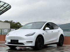 Tesla Model Y 2022 Long Range All-Wheel Drive - ფოტო 1