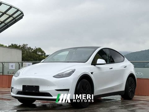 2021 Tesla Model Y 2022 Long Range All-Wheel Drive - ავტომობილი ჩინეთიდან