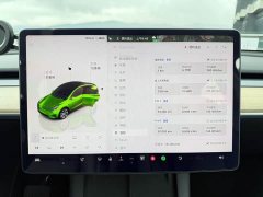 Tesla Model Y 2022 Long Range All-Wheel Drive - ფოტო 10