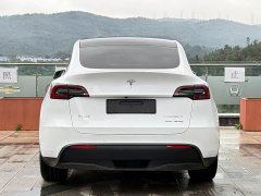 Tesla Model Y 2022 Long Range All-Wheel Drive - ფოტო 15
