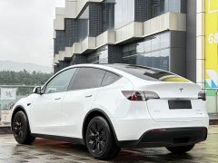 Tesla Model Y 2022 Long Range All-Wheel Drive - ფოტო 16