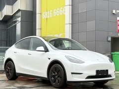 Tesla Model Y 2022 Long Range All-Wheel Drive - ფოტო 3