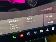 Tesla Model Y Rear-Wheel Drive - ფოტო 10