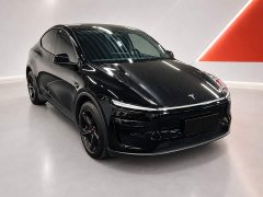 Tesla Model Y Rear-Wheel Drive - ფოტო 3
