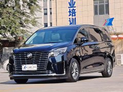 Buick GL8 ES Luxe Enjoyment Edition - ფოტო 1