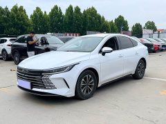 BYD Destroyer 05 Champion Edition DM-i 55KM Luxury - ფოტო 1