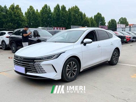 2023 BYD Destroyer 05 Champion Edition DM-i 55KM Luxury - ავტომობილი ჩინეთიდან