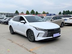BYD Destroyer 05 Champion Edition DM-i 55KM Luxury - ფოტო 3