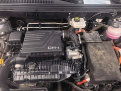 BYD Song Pro New Energy 2023 Champion Edition DM-i 71KM Exceed - ფოტო 10