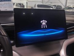 BYD Song Pro New Energy DM-i 110KM Excellence Edition - ფოტო 13