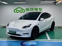 Tesla Model Y Long Range All-Wheel Drive - ფოტო 1