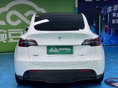 Tesla Model Y Long Range All-Wheel Drive - ფოტო 15