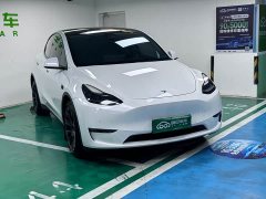 Tesla Model Y Long Range All-Wheel Drive - ფოტო 3