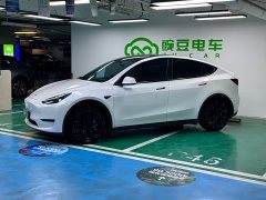 Tesla Model Y Long Range All-Wheel Drive - ფოტო 6