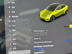 Tesla Model Y Long Range All-Wheel Drive - ფოტო 9