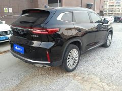 Chery Chitu Lingyun 2021 290T Two-Wheel Drive Star Shine Edition - ფოტო 3