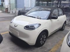 Wuling Binguo 2025 333km Joy Edition - ფოტო 1