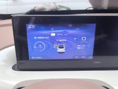 Wuling Binguo 2025 333km Joy Edition - ფოტო 14