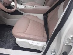 Wuling Binguo 2025 333km Joy Edition - ფოტო 9