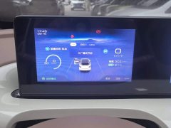 Wuling Binguo 2025 333km Joy Edition - ფოტო 14