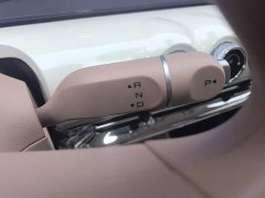 Wuling Binguo 2025 333km Joy Edition - ფოტო 16