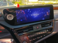 Lexus ES 200 Premium Edition - ფოტო 13