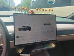 Nio Lerado L60 60kWh Rear-Wheel Drive - ფოტო 13