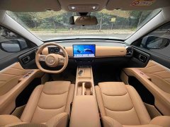 Wuling Starlight 560 New Energy Plug-in Hybrid 125km Luxury - ფოტო 5