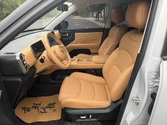 Wuling Starlight 560 New Energy Plug-in Hybrid 125km Luxury - ფოტო 6