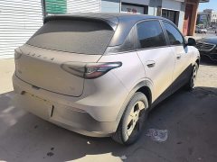 Geely Star Wish 2026 410km Freedom Edition - ფოტო 3