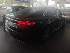 Geely Xingui Xingrui 2.0T Diesel Luxury Plus - ფოტო 3