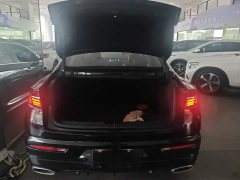 Geely Xingui Xingrui 2.0T Diesel Luxury Plus - ფოტო 4