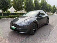 Tesla Model Y Rear-Wheel Drive - ფოტო 1