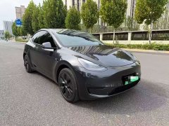 Tesla Model Y Rear-Wheel Drive - ფოტო 3