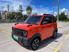 Geely Panda 210km Panda Knight - ფოტო 1
