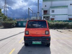 Geely Panda 210km Panda Knight - ფოტო 19