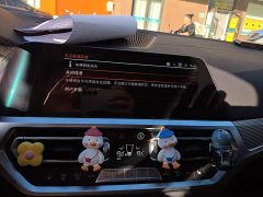 BMW 3 Series Facelift 325Li M Sport Night Edition Package - ფოტო 13