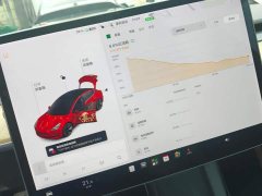 Tesla Model 3 Standard Range RWD Upgrade - ფოტო 14