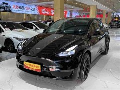 Tesla Model Y Standard Range RWD - ფოტო 1