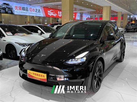 2021 Tesla Model Y Standard Range RWD - ავტომობილი ჩინეთიდან