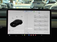 Tesla Model Y Standard Range RWD - ფოტო 11