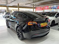 Tesla Model Y Standard Range RWD - ფოტო 13