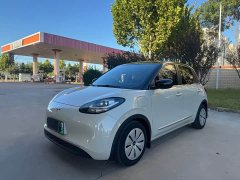 Wuling Binguo 333km Quick Enjoy Edition - ფოტო 1