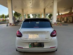 Wuling Binguo 333km Quick Enjoy Edition - ფოტო 10