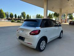 Wuling Binguo 333km Quick Enjoy Edition - ფოტო 12