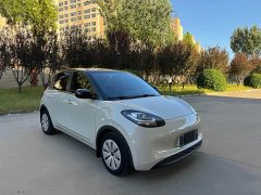 Wuling Binguo 333km Quick Enjoy Edition - ფოტო 5