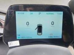 BYD Dolphin 2024 Glory Edition 420km Fashion Version - ფოტო 14
